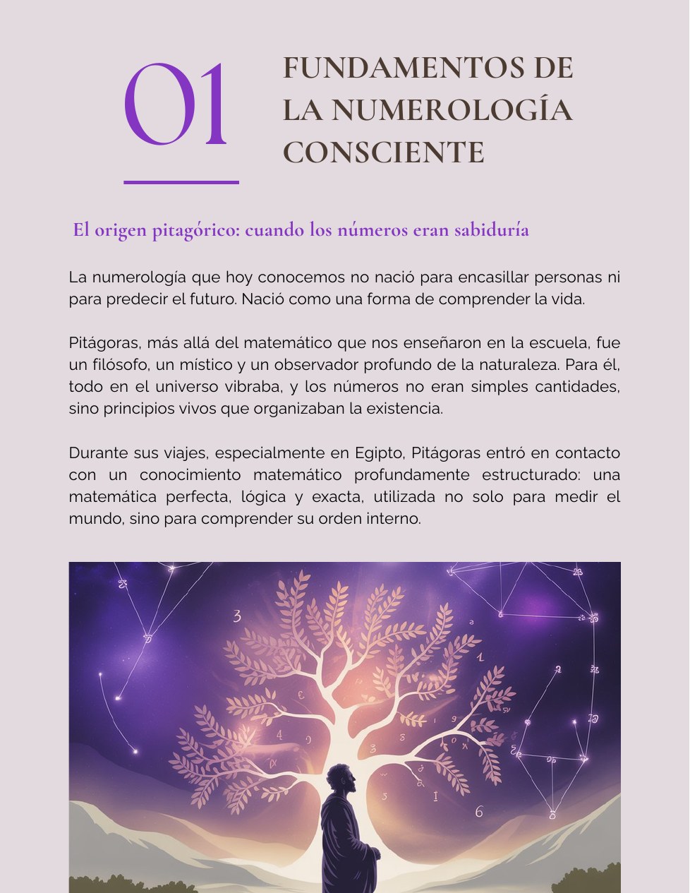 Página interior del capítulo Fundamentos de la numerología consciente